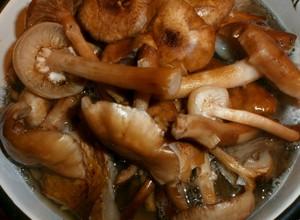 Что делать с опятами после сбора - самые удачные способы переработки грибов